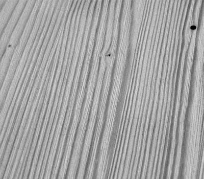 Surface après ponçage avec les fils nylon de la brosse Rustilon.